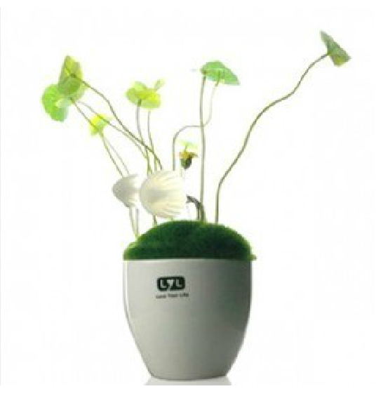 30035 light sensation avatar mushroom bonsai night light