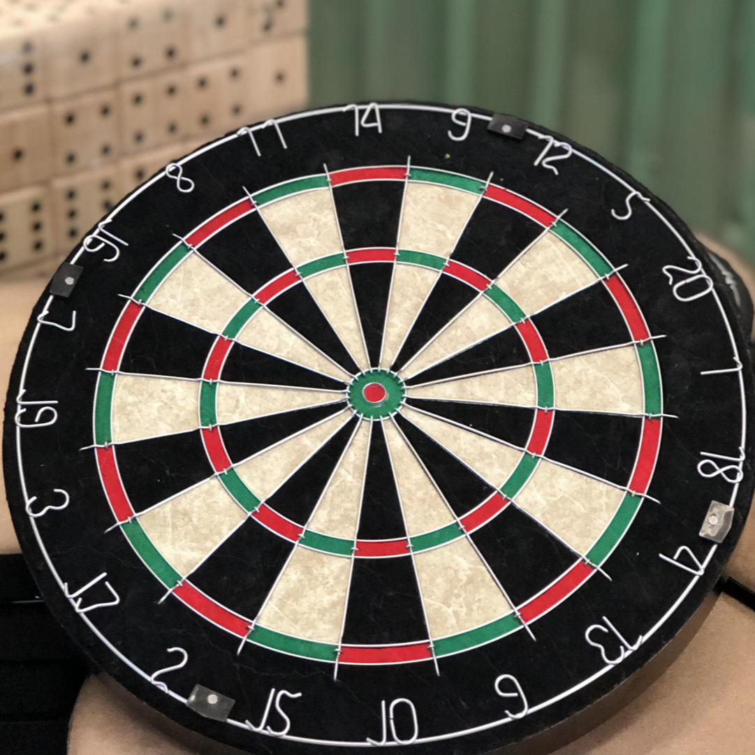 WT069 18 inch standard international competition darts target